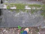 image of grave number 366186